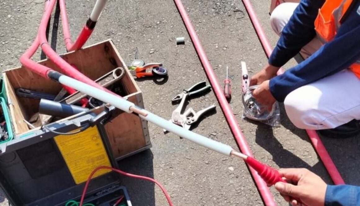 WhatsApp Image 2026-02-23 at 15.59.20