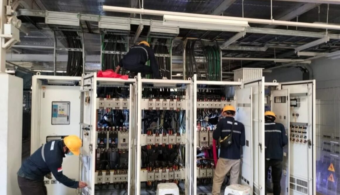 WhatsApp Image 2026-02-23 at 15.59.36