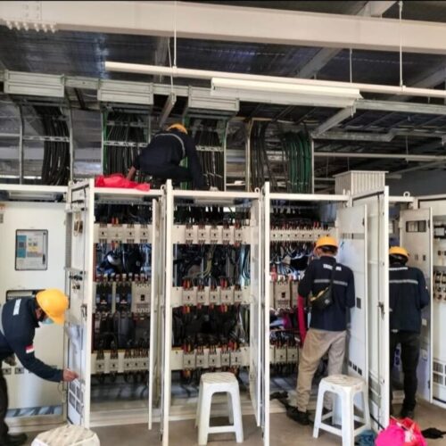 WhatsApp Image 2026-02-23 at 15.59.36